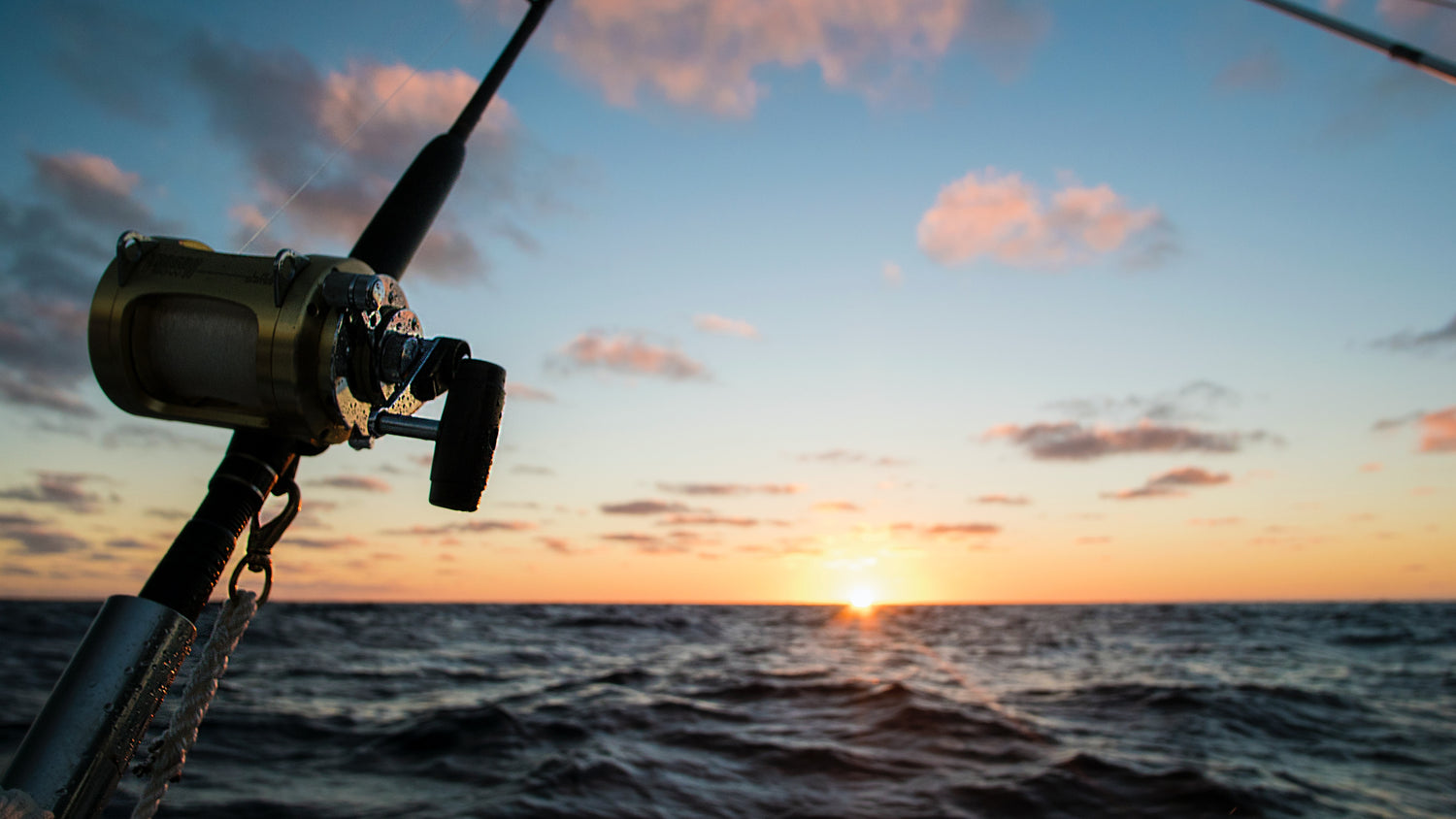 View of a jig slow pitch fishing in the sea